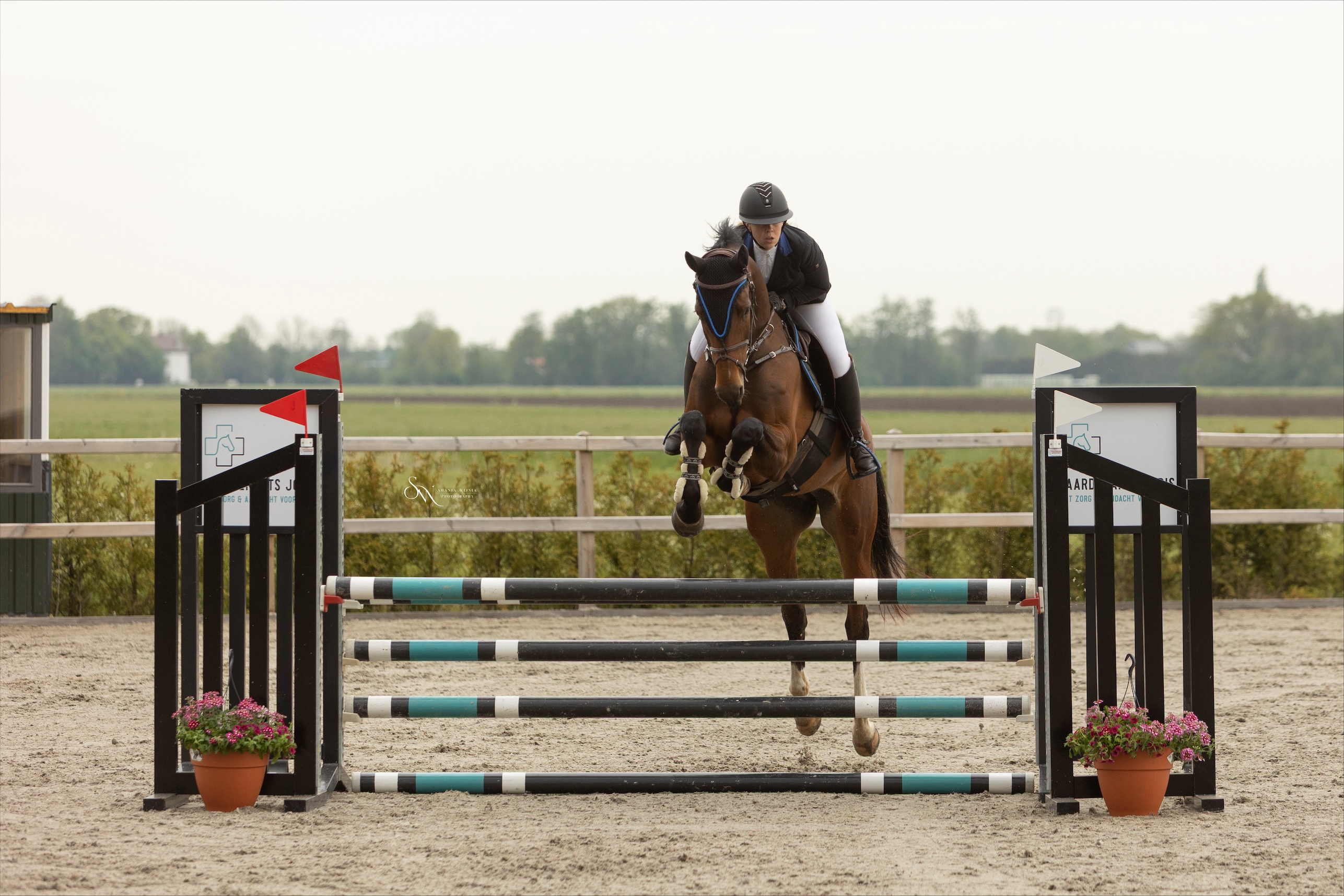 Anneke Heida met Cajole (springfoto).jpeg (2.80 MB)