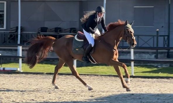 Sanna Dijkstra met Carambo.jpg (39 KB)