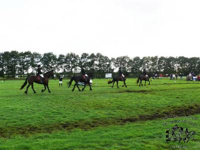 fries_kampioen_2008_093.jpg